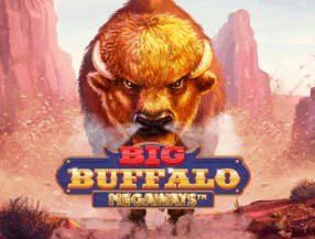 game logo by Skywind Group on hollywins.ca