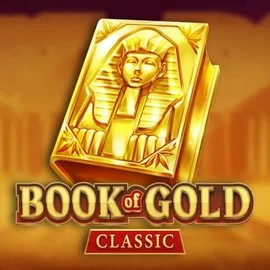 game logo by Playson on hollywins.ca