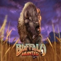 Buffalo Hunter logo by Nolimit City at Hollywin CasinoBuffalo Hunter