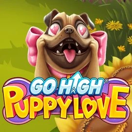 game logo by RubyPlay on hollywins.ca